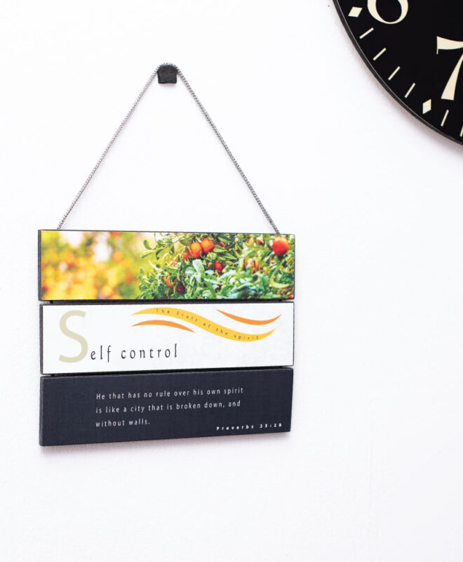 Self Control- Inspirational Wall Decor Item