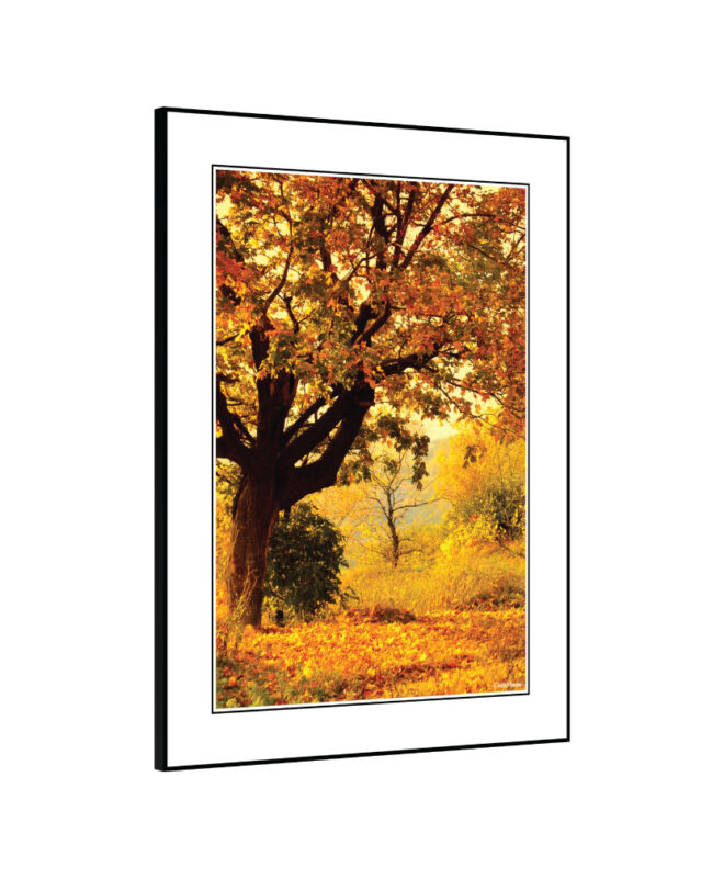 [Autumn] - Inspirational Wall Decor Item