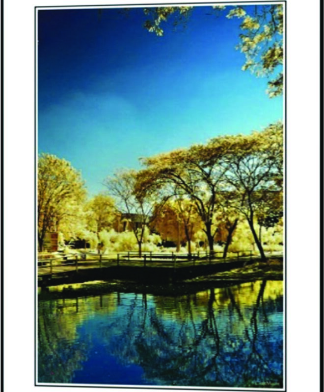 [Golden Tree] - Inspirational Wall Decor Item