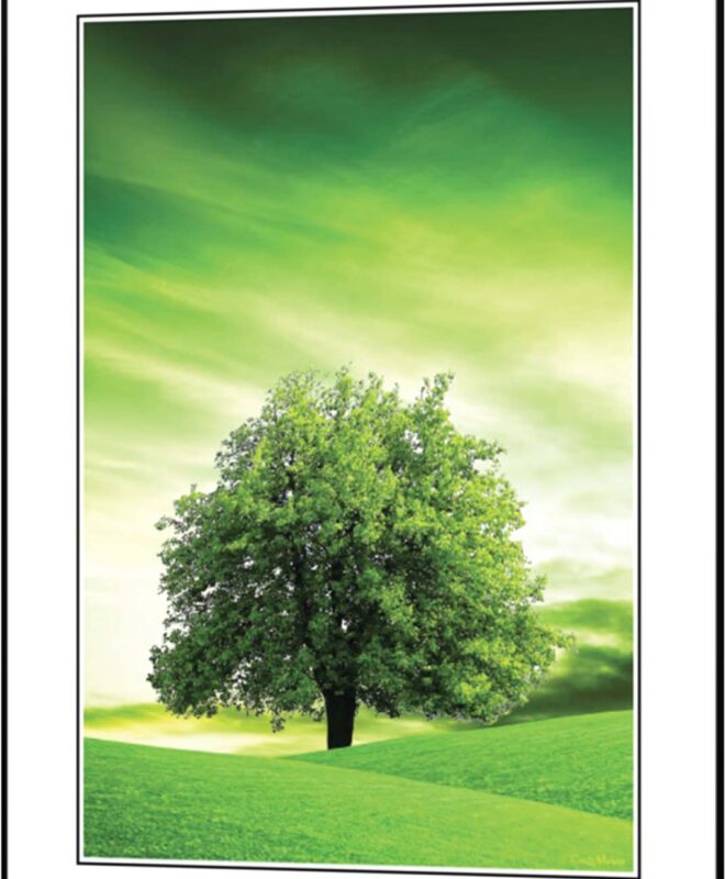 [Green Tree] - Inspirational Wall Decor Item