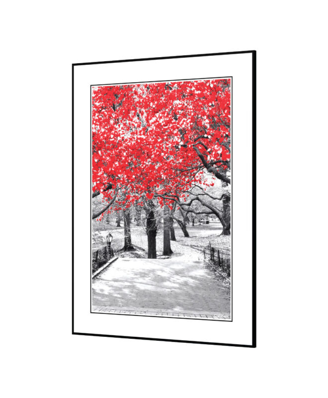 [Red Rose] - Inspirational Wall Decor Item