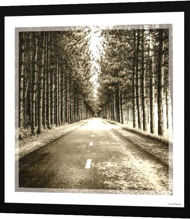 [Tinted pathway] Inspirational Wall Decor Item