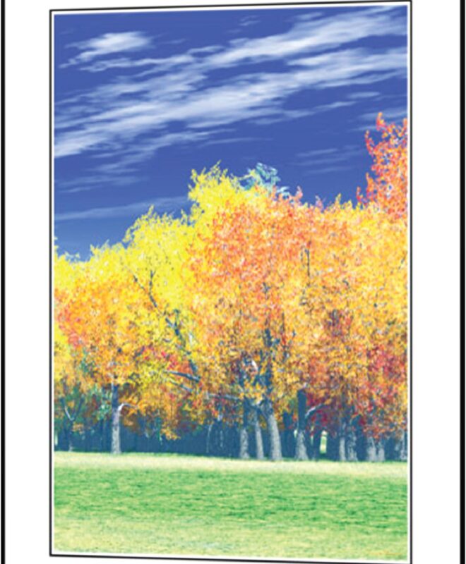 [Yellow Tree] - Inspirational Wall Decor Item